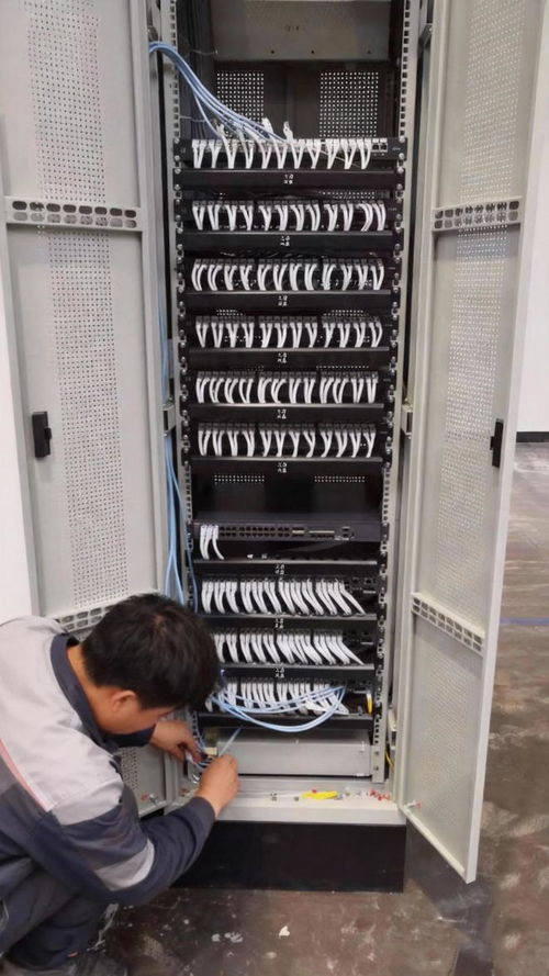 2024年网线品牌前十大排名 如何选择高品质网络线？